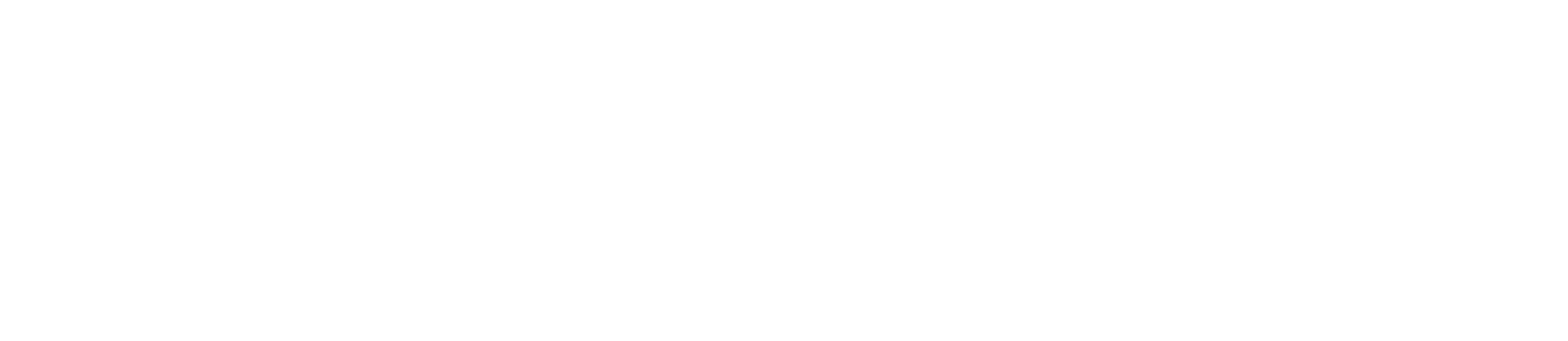 whiteAsset 14pattern